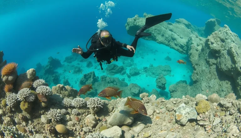 Les meilleurs spots de plongée en Corse : sites, épaves et réserves marines
