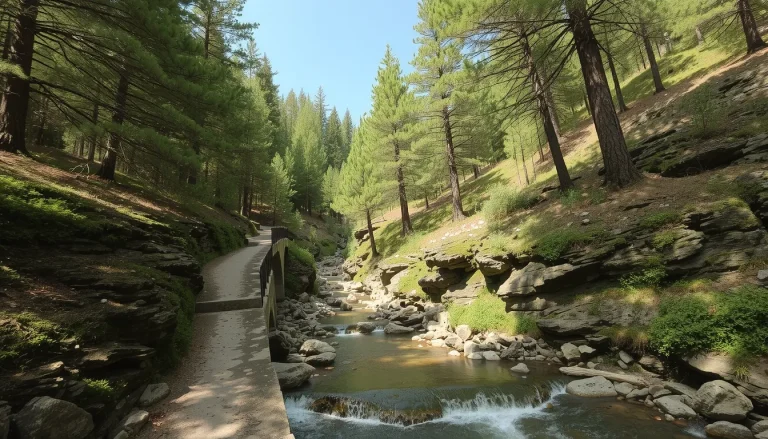 Forêt de Tartagine : randonnées, géographie et patrimoine en Corse