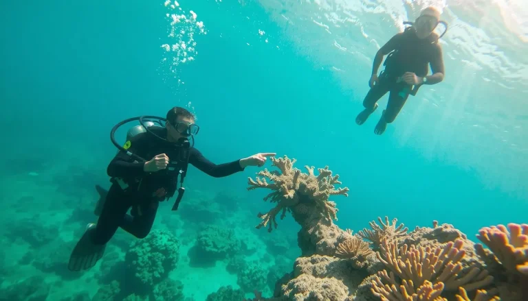 Les meilleurs spots de plongée dans le nord de La Réunion : guide complet par commune