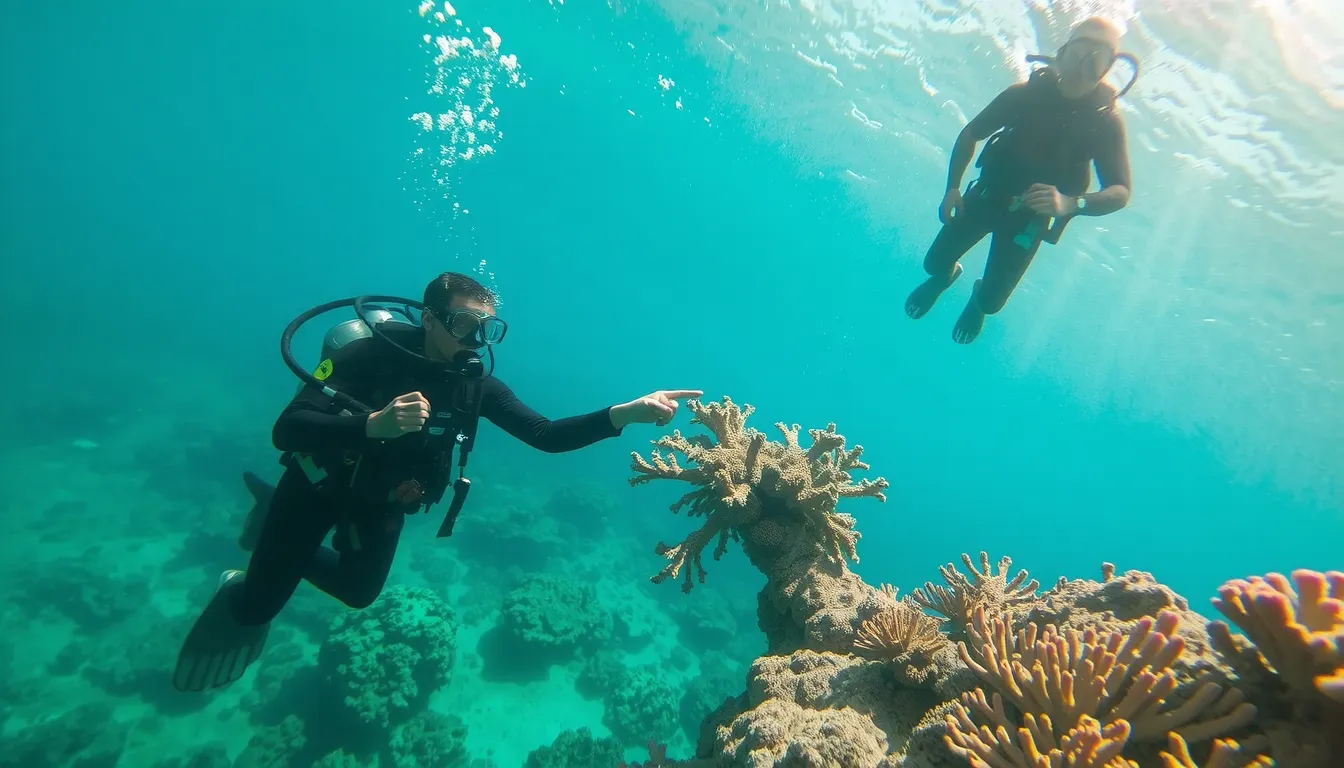 plongée sous-marine spots nord réunion