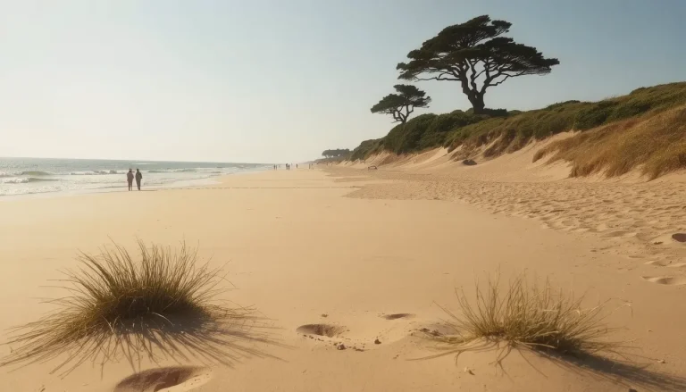 Plage Remember à Mimizan : Guide Complet pour les Naturistes