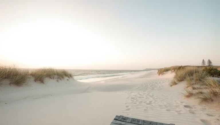 Plage de l&rsquo;Horizon au Cap Ferret : guide complet de la plage du Petit Train